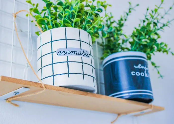 T3 Confortable Et Lumineux * 克莱蒙费朗